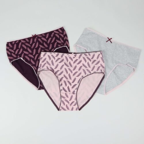 Pack de 3 Culottes Taille Haute Pointelle – Coton Premium 🌿